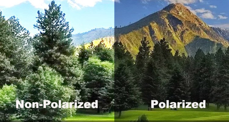 Polarized Vs Non-polarized All You Need To Know
